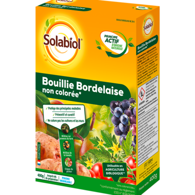 BOUILLIE BORDELAISE NON COLOREE - 400 g
