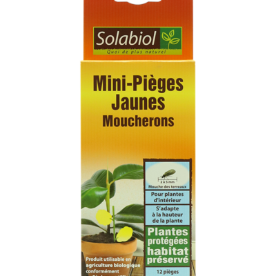 MINI-PIEGES JAUNE MOUCHERONS