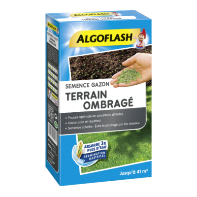 SEMENCE GAZON TERRAIN OMBRAGE - ALGOFLASH