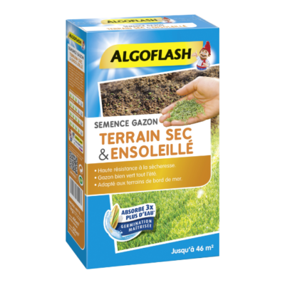 SEMENCE GAZON TERRAIN SEC - ALGOFLASH - 1 kg
