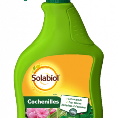 COCHENILLES - PRET A L'EMPLOI - 750 ml