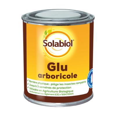 GLU ARBORICOLE