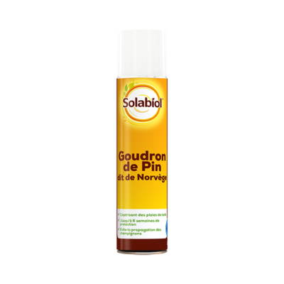 AEROSOL GOUDRON DE PIN