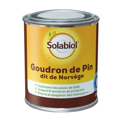 GOUDRON DE PIN