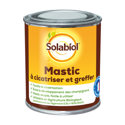 MASTIC A CICATRISER ET A GREFFER