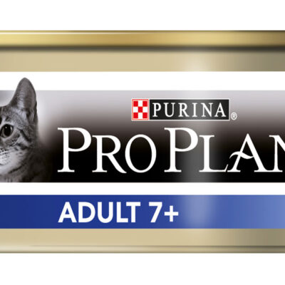 MOUSSE CHAT ADULT THON