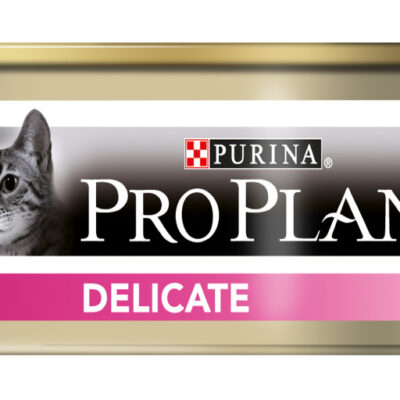 MOUSSE DINDE POUR CHAT