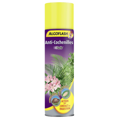 ANTI COCHENILLES AEROSOL - ALGOFLASH