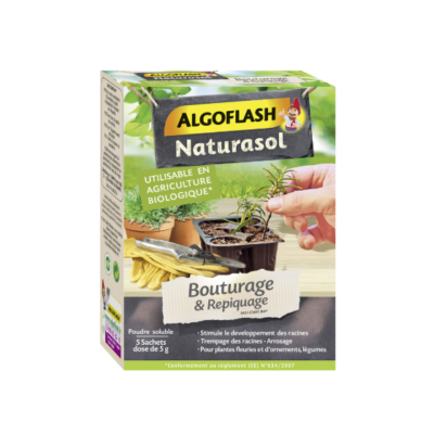 BOUTURAGE ET REPIQUAGE - NATURASOL