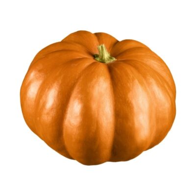 Potiron
