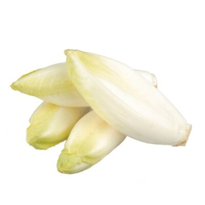 Endive chicon